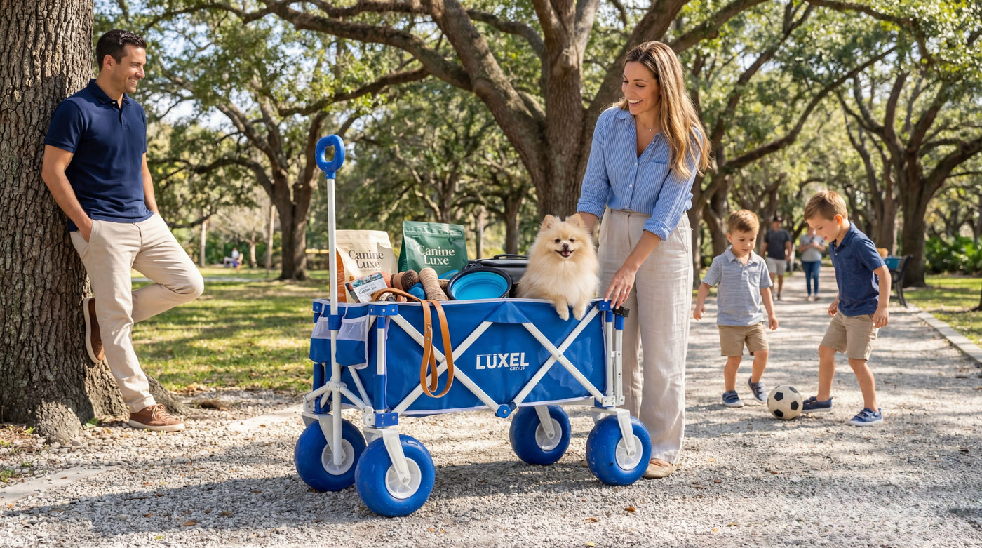 Beach Wagon Blue — pets