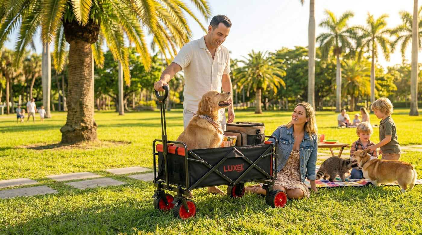 Compact Electric — picnic