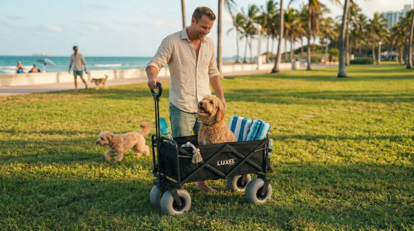 Electric Beach — pets